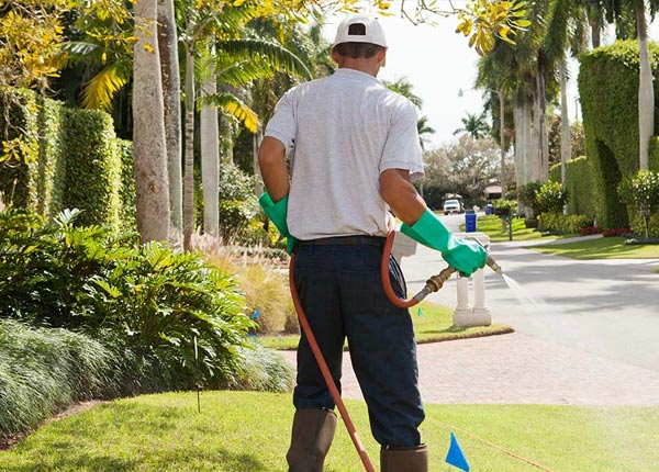 About Grosse Pointe MI Pest Control Pros